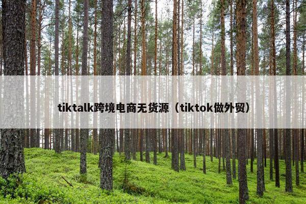 tiktalk跨境电商无货源（tiktok做外贸）