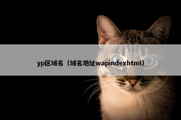yp区域名（域名地址wapindexhtml）