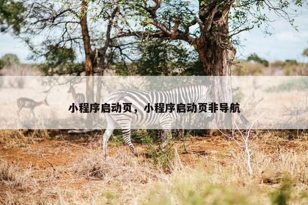 小程序启动页，小程序启动页非导航