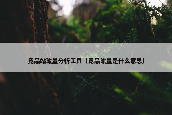 竞品站流量分析工具（竞品流量是什么意思）
