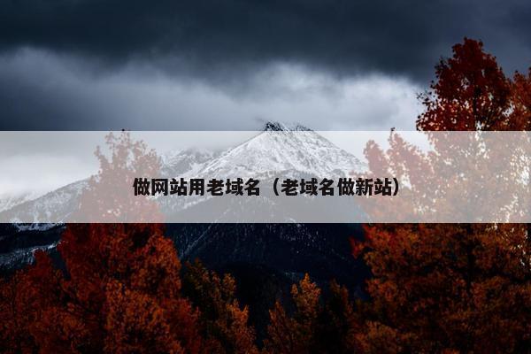 做网站用老域名（老域名做新站）