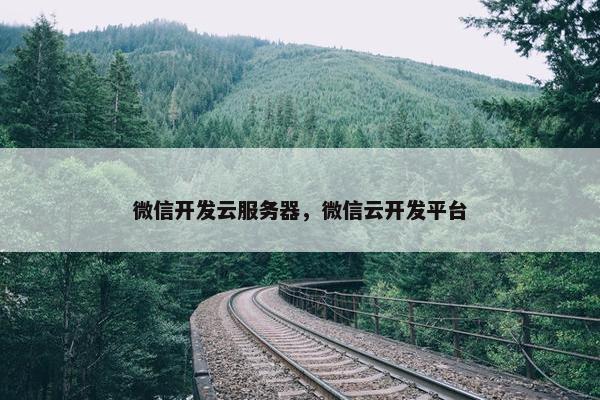 微信开发云服务器，微信云开发平台