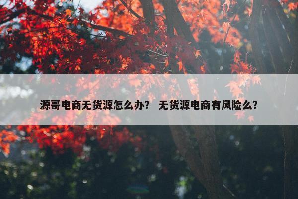 源哥电商无货源怎么办？ 无货源电商有风险么？