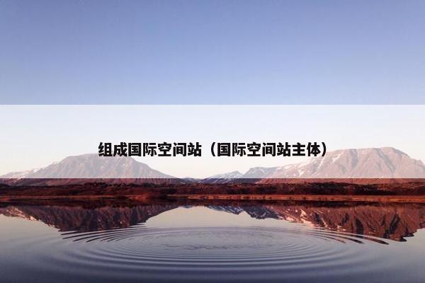 组成国际空间站（国际空间站主体）
