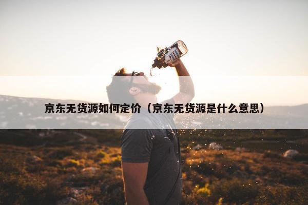 京东无货源如何定价（京东无货源是什么意思）
