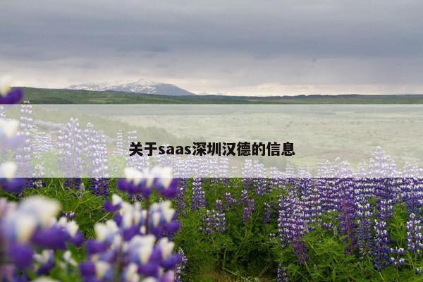 关于saas深圳汉德的信息