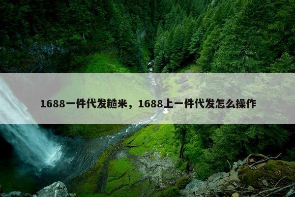 1688一件代发糙米，1688上一件代发怎么操作