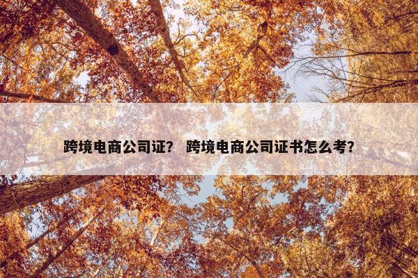 跨境电商公司证？ 跨境电商公司证书怎么考？