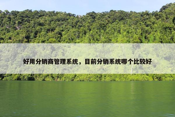 好用分销商管理系统，目前分销系统哪个比较好