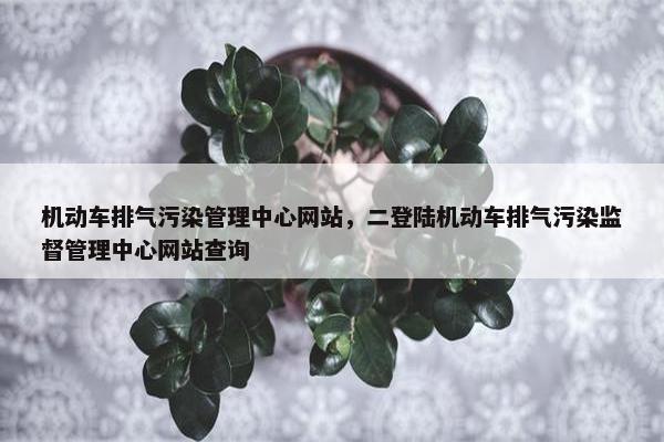 机动车排气污染管理中心网站，二登陆机动车排气污染监督管理中心网站查询