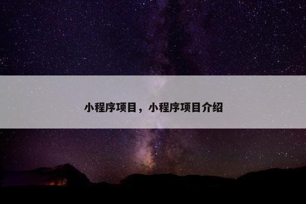 小程序项目，小程序项目介绍