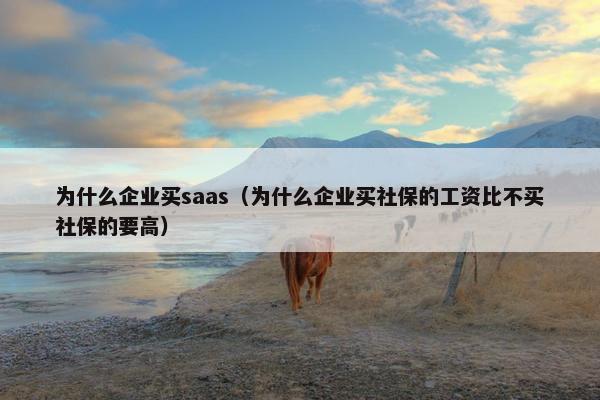 为什么企业买saas（为什么企业买社保的工资比不买社保的要高）