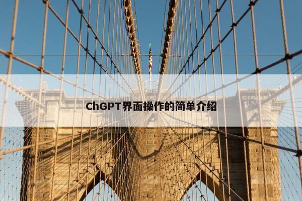 ChGPT界面操作的简单介绍