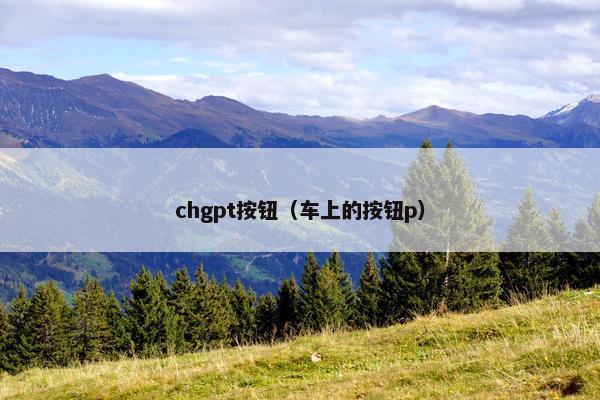 chgpt按钮（车上的按钮p）