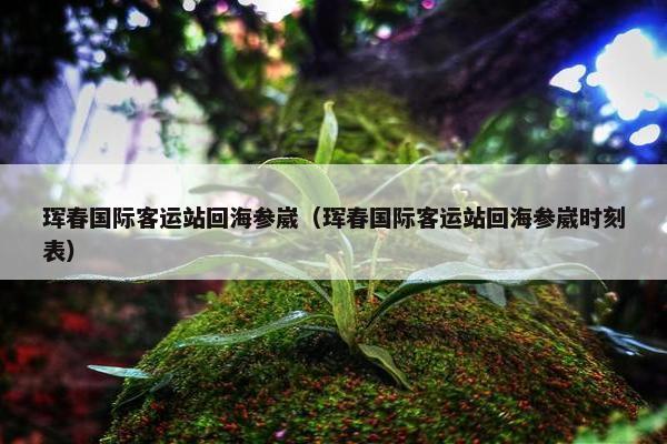 珲春国际客运站回海参崴（珲春国际客运站回海参崴时刻表）
