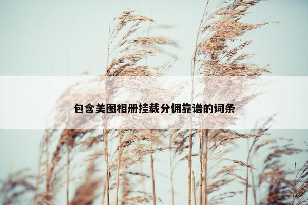 包含美图相册挂载分佣靠谱的词条