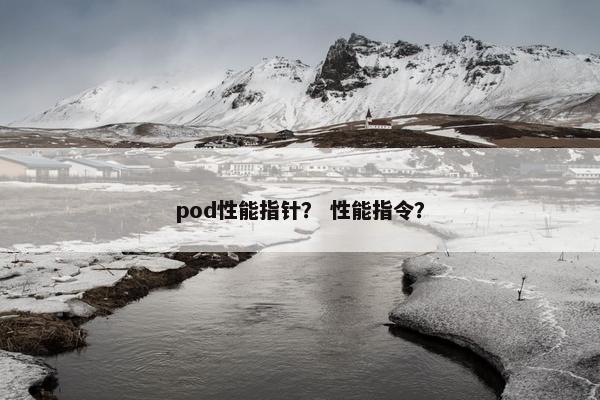 pod性能指针？ 性能指令？