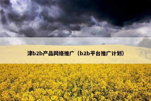 津b2b产品网络推广（b2b平台推广计划）