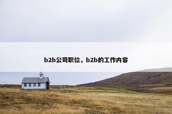 b2b公司职位，b2b的工作内容