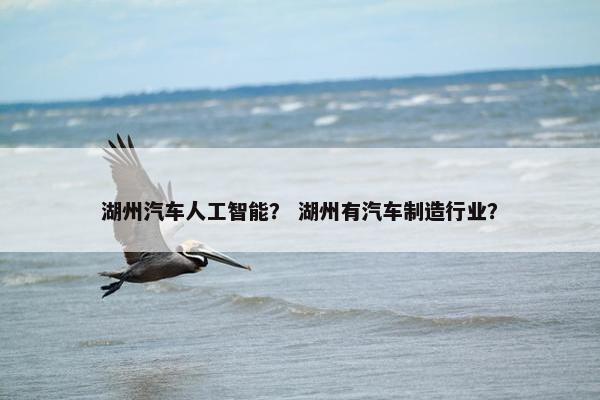 湖州汽车人工智能？ 湖州有汽车制造行业？