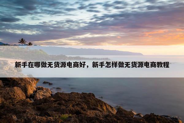 新手在哪做无货源电商好，新手怎样做无货源电商教程