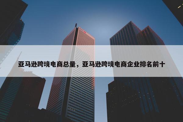亚马逊跨境电商总量，亚马逊跨境电商企业排名前十