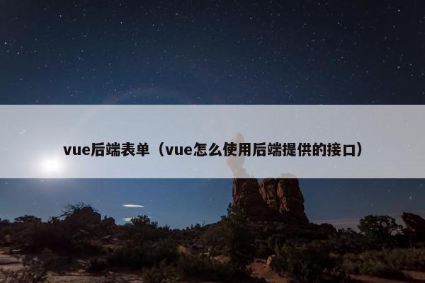 vue后端表单（vue怎么使用后端提供的接口）