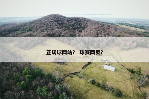 正规球网站？ 球赛网页？