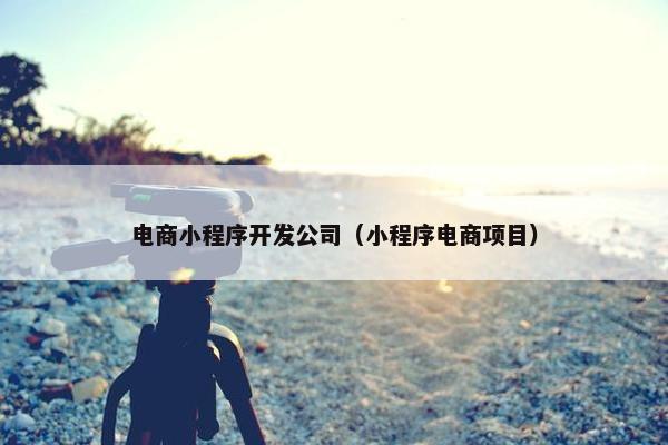 电商小程序开发公司（小程序电商项目）