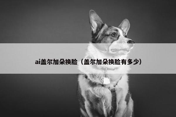 ai盖尔加朵换脸（盖尔加朵换脸有多少）