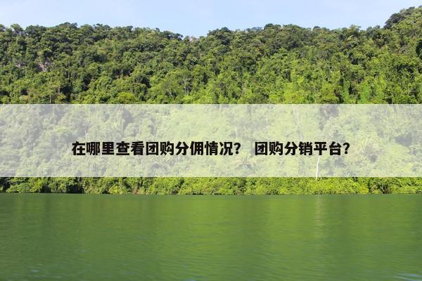 在哪里查看团购分佣情况？ 团购分销平台？