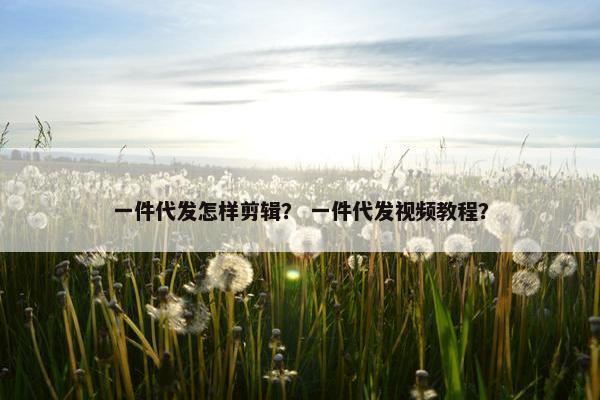 一件代发怎样剪辑？ 一件代发视频教程？