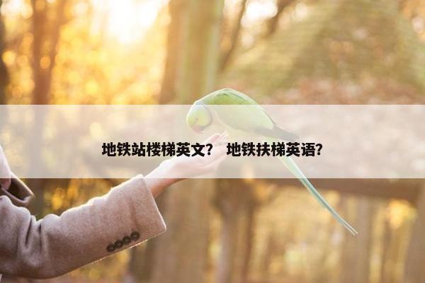地铁站楼梯英文？ 地铁扶梯英语？