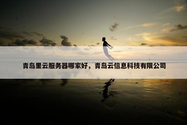 青岛里云服务器哪家好，青岛云信息科技有限公司