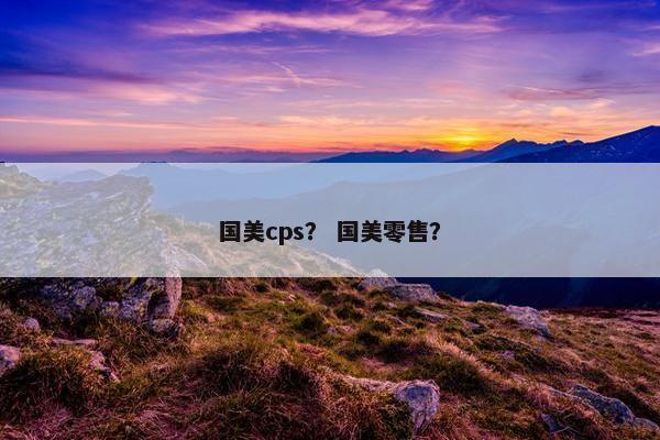 国美cps？ 国美零售？