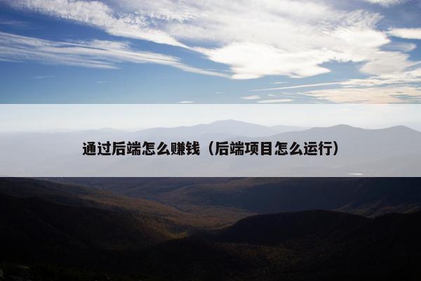 通过后端怎么赚钱（后端项目怎么运行）