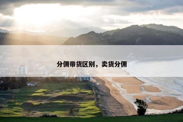 分佣带货区别，卖货分佣