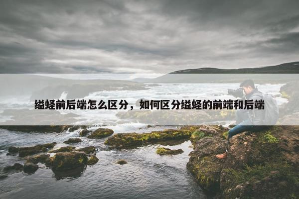 缢蛏前后端怎么区分，如何区分缢蛏的前端和后端