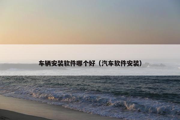 车辆安装软件哪个好（汽车软件安装）