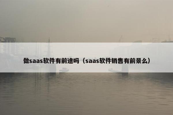 做saas软件有前途吗（saas软件销售有前景么）