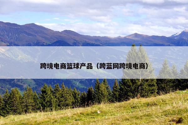 跨境电商篮球产品（跨蓝网跨境电商）