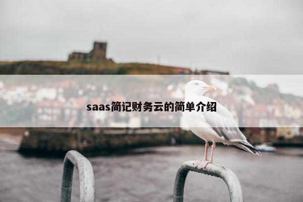 saas简记财务云的简单介绍