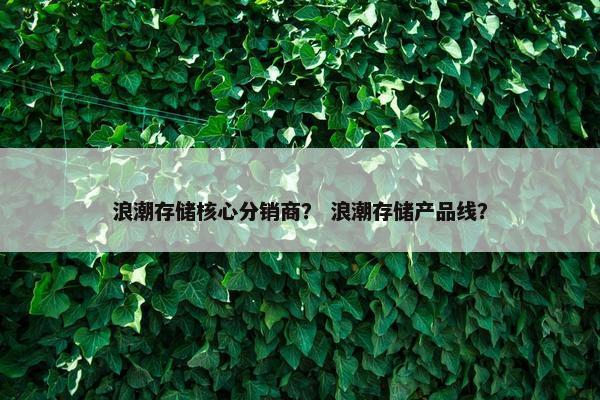 浪潮存储核心分销商？ 浪潮存储产品线？
