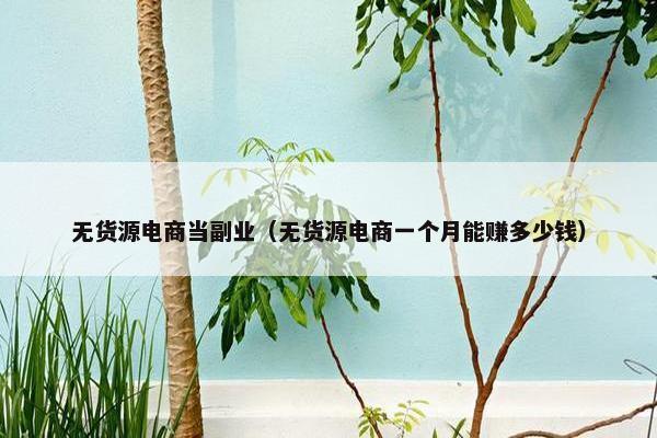 无货源电商当副业（无货源电商一个月能赚多少钱）