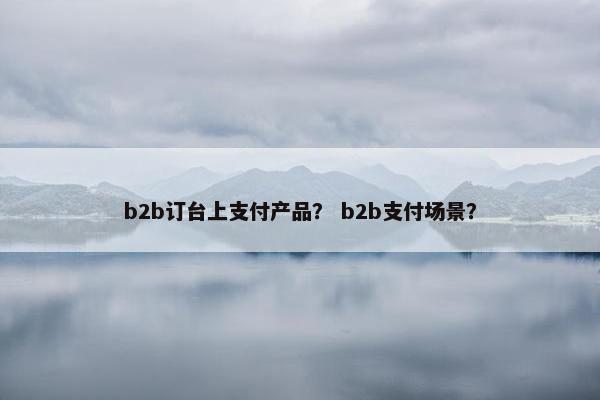 b2b订台上支付产品？ b2b支付场景？