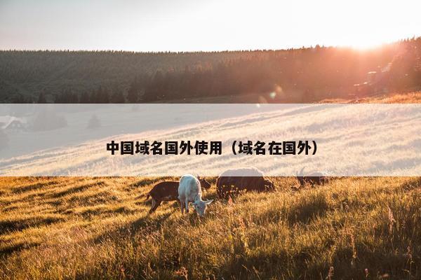 中国域名国外使用（域名在国外）