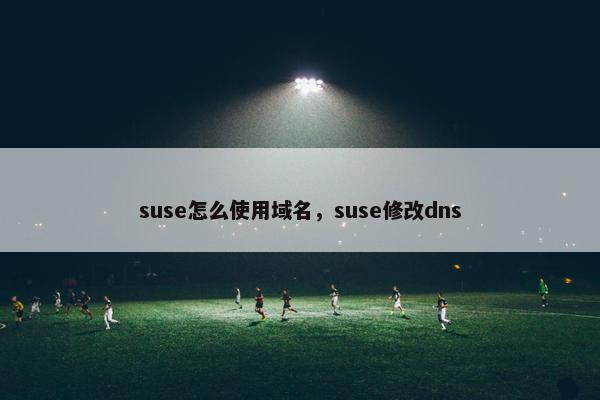suse怎么使用域名，suse修改dns