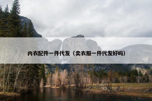 内衣配件一件代发（卖衣服一件代发好吗）