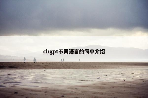 chgpt不同语言的简单介绍