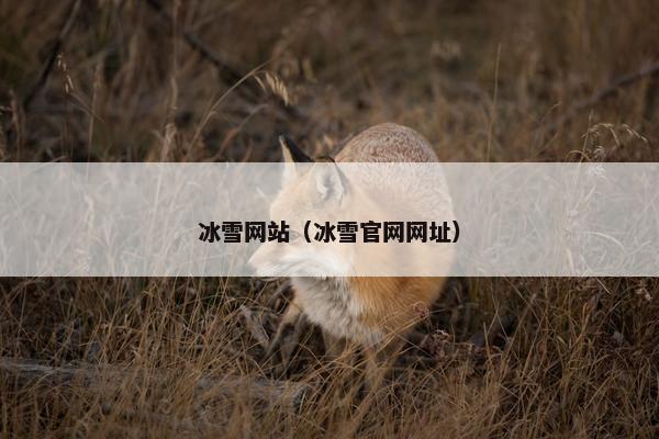 冰雪网站（冰雪官网网址）